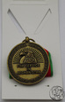 USA, medal za kampanie w Afganistanie