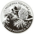 UKRAINA - 10 HRYWIEN - MODRZEW POLSKI - 2001 - RZADKA MONETA