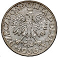 592. Polska, II RP, 5 złotych 1936, Żaglowiec