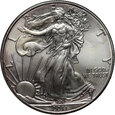 USA, dolar 2011,  Silver Eagle, uncja srebra