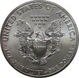 USA, dolar 2011,  Silver Eagle, uncja srebra