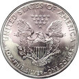 USA, dolar 2009, Silver eagle, uncja srebra