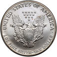 USA, 1 dolar 1992, Amerykański srebrny orzeł, uncja srebra