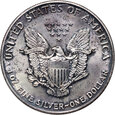 USA, 1 dolar 1991, Amerykański srebrny orzeł, uncja srebra