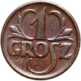 zdjęcie główne