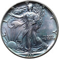 USA, 1 dolar 1987, Silver Eagle