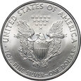 USA, dolar 2010, Silver Eagle, uncja srebra