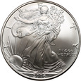 USA, 1 dolar 2006, Silver Eagle