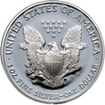 USA, 1 dolar 2005 W, Silver Eagle, stempel lustrzany (proof)