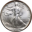 USA, dolar 1991, Silver Eagle, uncja srebra