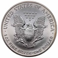 USA, dolar 2000, Silver Eagle, uncja srebra