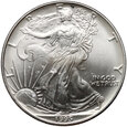 USA, 1 dolar 1995, Silver Eagle