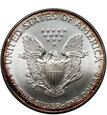 USA, 1 dolar 1995, Silver Eagle