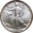 USA, 1 dolar 1991, Amerykański srebrny orzeł, uncja srebra