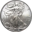 USA, dolar 2010, Silver Eagle, uncja srebra