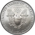 USA, dolar 2010, Silver Eagle, uncja srebra