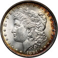 USA, 1 dolar 1881, Morgan