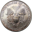 USA, 1 dolar 2010, Amerykański srebrny orzeł, 1 uncja srebra