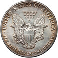 USA, 1 dolar 1987, Amerykański srebrny orzeł, uncja srebra