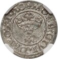 Polska, Zygmunt I Stary, szeląg 1530, Gdański NGC MS63