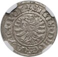 Polska, Zygmunt I Stary, szeląg 1530, Gdański NGC MS63