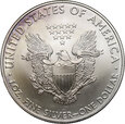 USA, 1 dolar 2009, Silver Eagle
