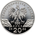 Polska, III RP, 20 złotych 2003, Węgorz europejski