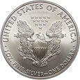 USA, dolar 2010, Silver Eagle,  uncja srebra