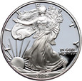 USA, 1 dolar 2004 W, Silver Eagle, stempel lustrzany (proof)