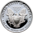 USA, 1 dolar 2004 W, Silver Eagle, stempel lustrzany (proof)