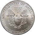 USA, 1 dolar 2008, Amerykański srebrny orzeł, uncja srebra