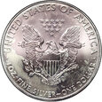 USA, 1 dolar 2009, Amerykański srebrny orzeł, uncja srebra