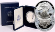 USA, 1 dolar 1995 P, Silver Eagle, stempel lustrzany (proof)