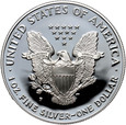 USA, 1 dolar 1995 P, Silver Eagle, stempel lustrzany (proof)