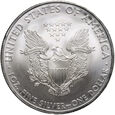 USA,  dolar 2010, Silver Eagle, uncja srebra