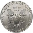 41. USA, 1 dolar 2009, Amerykański srebrny orzeł