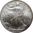 USA, dolar 2000, Silver Eagle, uncja srebra