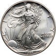 USA, 1 dolar 1995, Amerykański srebrny orzeł, uncja srebra
