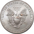 USA, dolar 2013, Silver eagle, uncja srebra