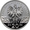 III RP, 20 złotych 2007, Foka szara