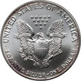 USA, 1 dolar 1993, Silver Eagle