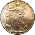 USA, 1 dolar 2003, Silver Eagle