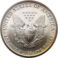 USA, 1 dolar 2003, Silver Eagle