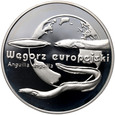 1709. Polska, III RP, 20 złotych 2003, Węgorz europejski