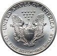 USA, 1 dolar 1989, Silver Eagle, Uncja srebra