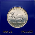 zdjęcie główne