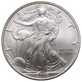 USA, dolar 2004, Silver Eagle, uncja srebra