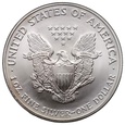 USA, dolar 2004, Silver Eagle, uncja srebra