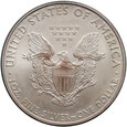 USA, dolar 2010, Silver Eagle,  uncja srebra