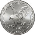 USA, 1 dolar 2021, Amerykański srebrny orzeł, uncja srebra